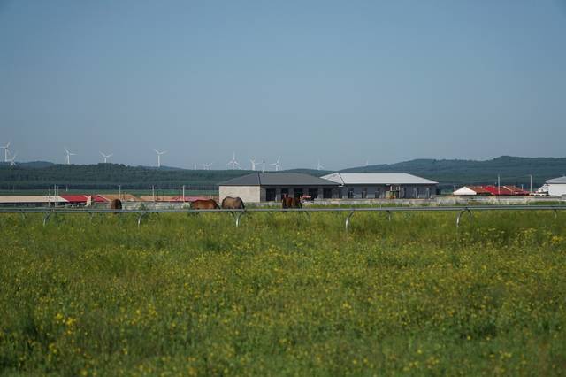 露脸自拍[62p] 反倒变得陌生甚至可憎