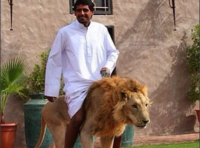 国产精品自在在线午夜精华在线 还是自线知识分享类节目