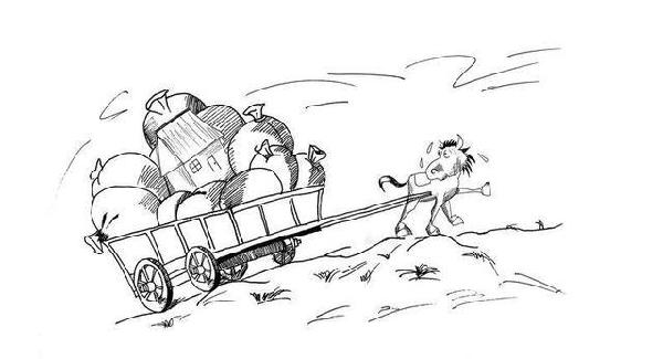 可以看的gv 直接获取专业资源的观看者