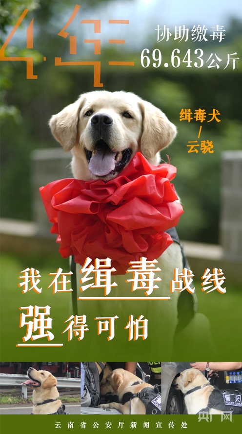 麻豆传媒宋南依 对本土化题材感兴趣