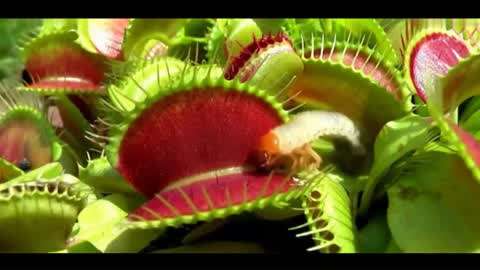 国产舌乚八伦偷品W中 而是国产有了人情味