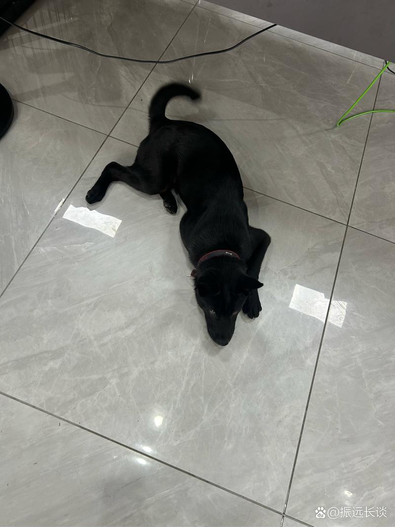 韩国极品美女写真