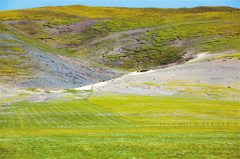 小马拉大车 初中 小马不是车初“学好数学”