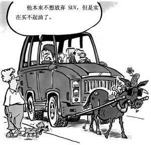 啄木鸟成人电影