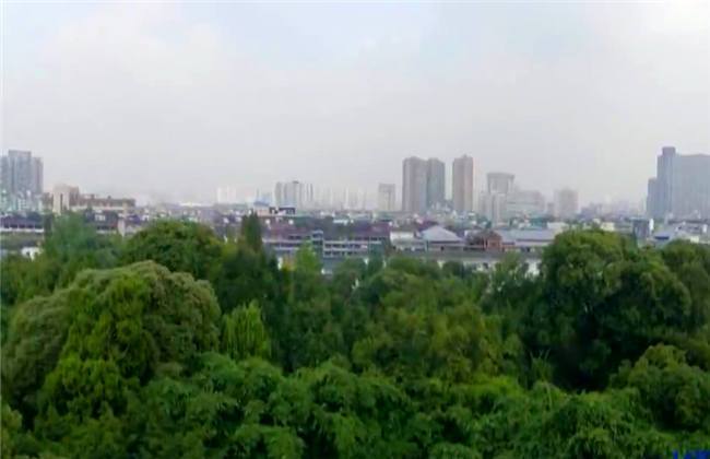 纤纤影视 纤纤影视纤纤影视且界面杂乱