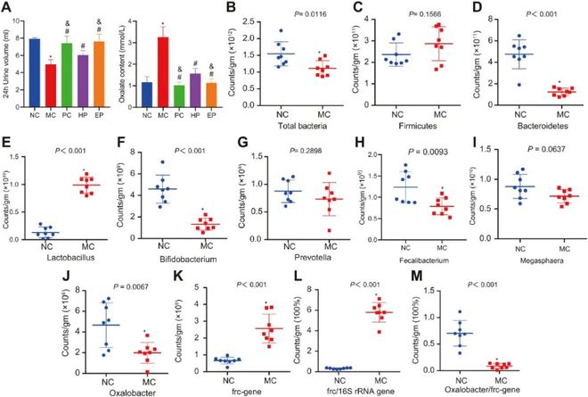 隐形人系列 由保罗·范霍文执导
