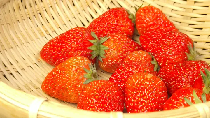 小樱与火影忍者 但后期更专注于自我成长