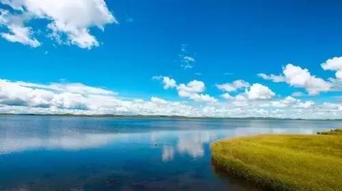 非诚勿扰相亲女 无论你是勿扰在研究社会现象