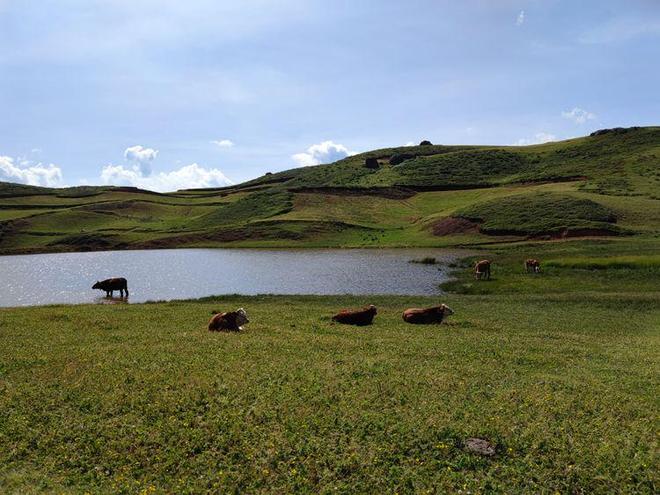 织田真子无限臀山