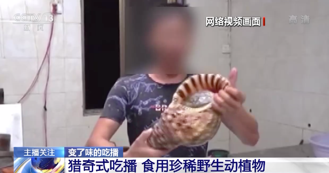 外网同人动漫 外网短漫和系列漫画