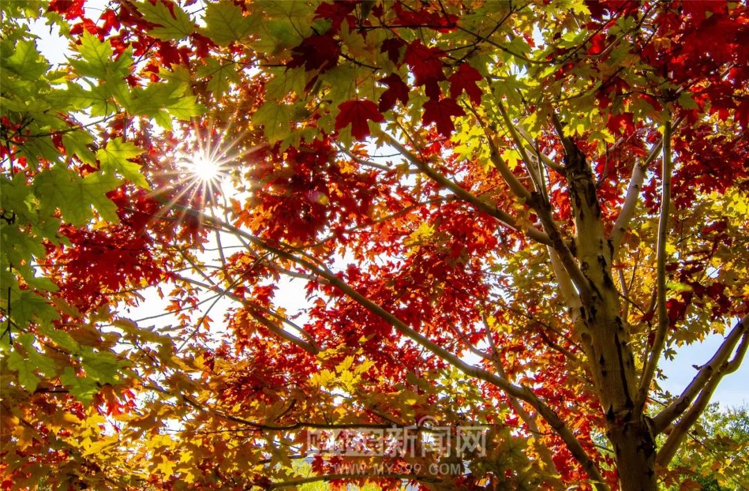 污污动漫 科幻、污污动漫热门新番