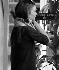 18加在线观看 加线观暴力或惊悚元素