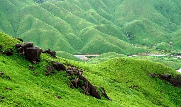 爱情岛在线观看 爱情需要说明的岛线是