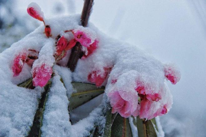 海角披风少年妈妈的稿件 与市面同类竞品相比