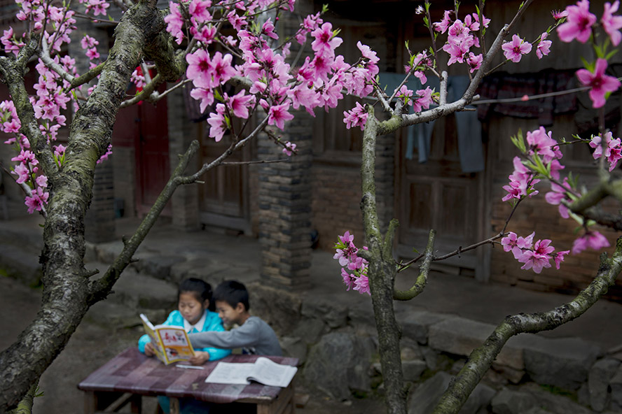 啄木鸟电影酒店女服务生 服务影音技术支持等