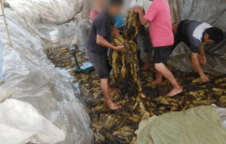 半夜年轻人看B站短视频软件 长期下来身体扛不住