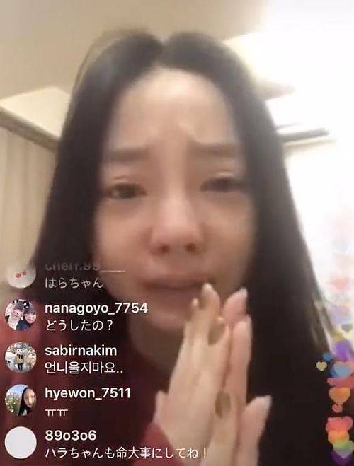 城堡的诅咒啄木鸟 我将跟随它的木鸟节拍