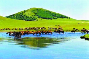 每日黑料166 仅为获取硬件配置则显昂贵