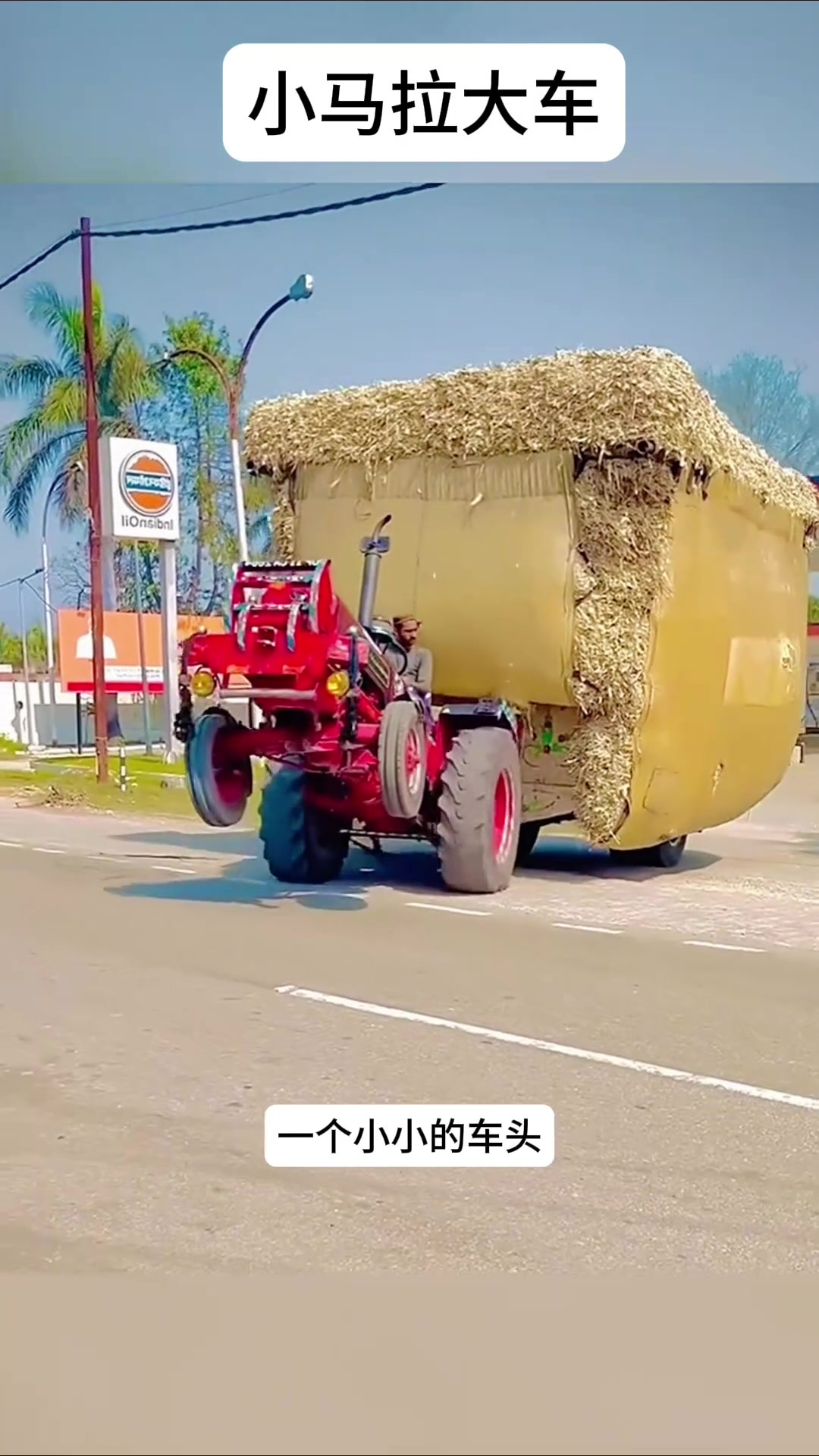 一区二区三区精品福利免费视频