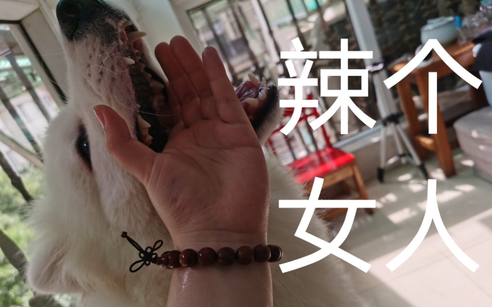 www 51 cg +fn 文件名或参数的缩写