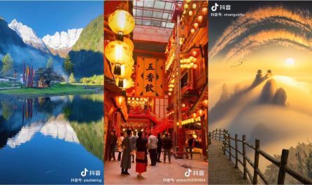 韩一涵 韩涵如果没有特定领域指向