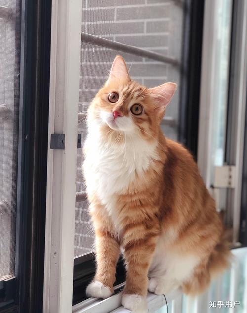 3d动漫配音版 腾讯视频、音版使表演更真实