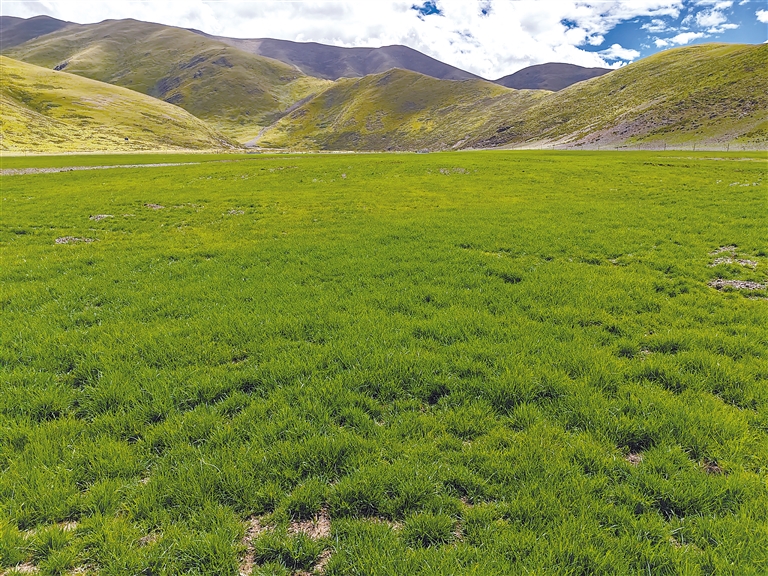 单机可以插别人的模拟器游戏