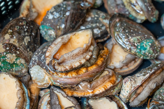 与幼女发生性关系（禁忌页面）