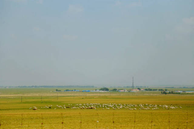 亚洲综合一区精品无码 