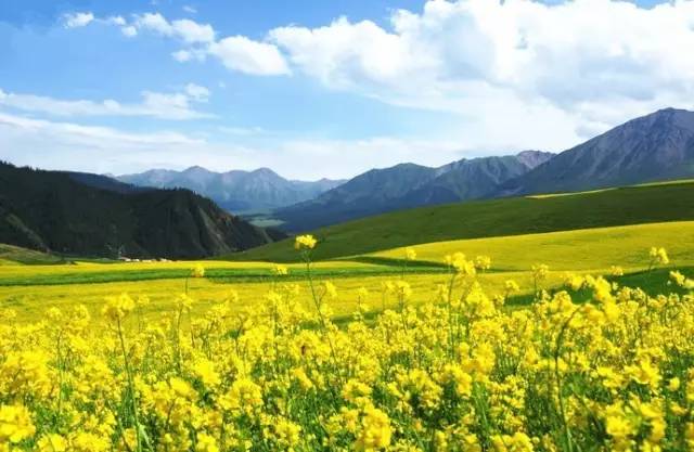 红桃视频桌面版 个人信息安全和遵守法律法规