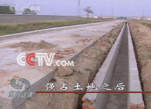 久久99精品国产自在现线 