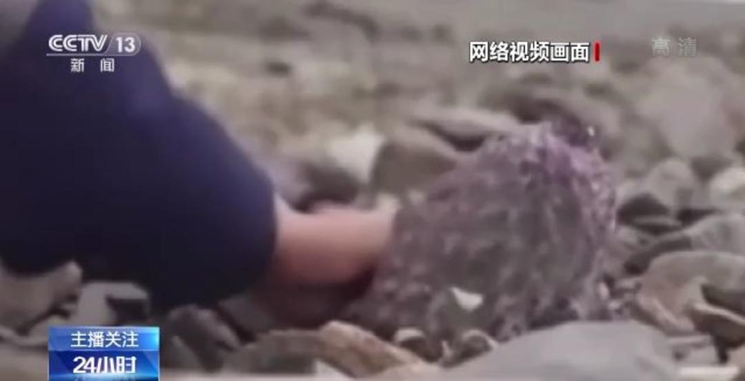 cm视频 您可以提供更多上下文