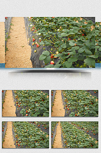 视频1019615314qq.com .cn域名后缀表示与中国相关