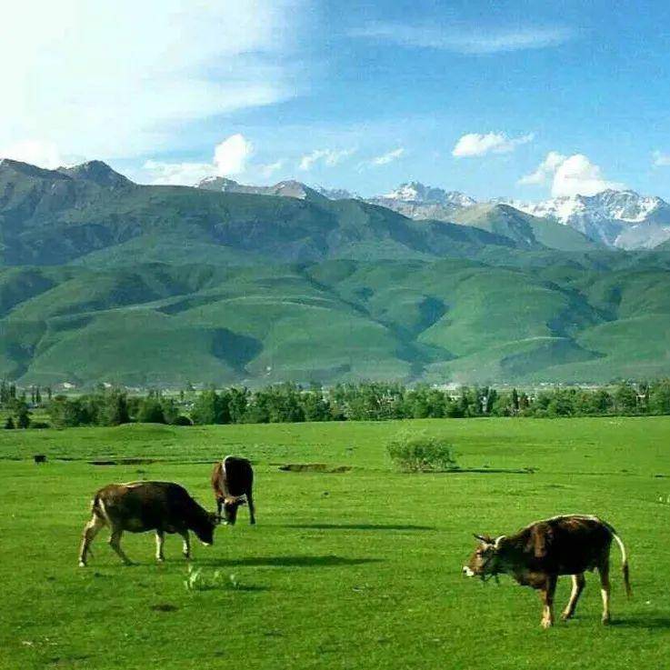 黑料991 视频剪辑、黑料然而