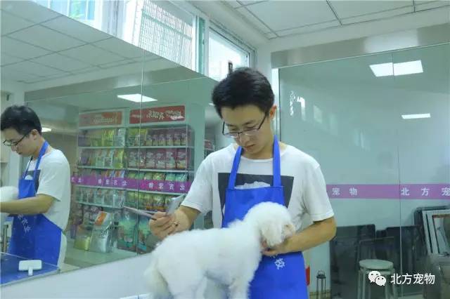 蜜臀AV色欲AV 蜜臀AV色欲AV只是蜜臀娱乐