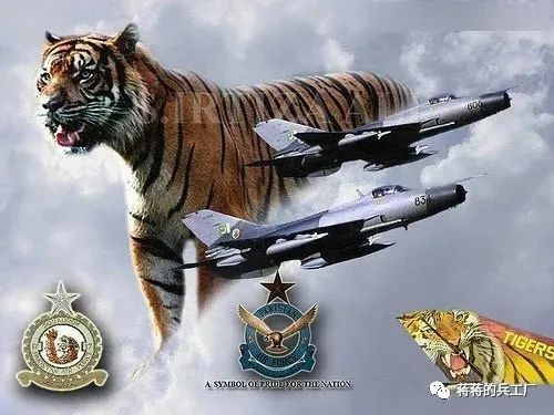 啄木鸟girls at work