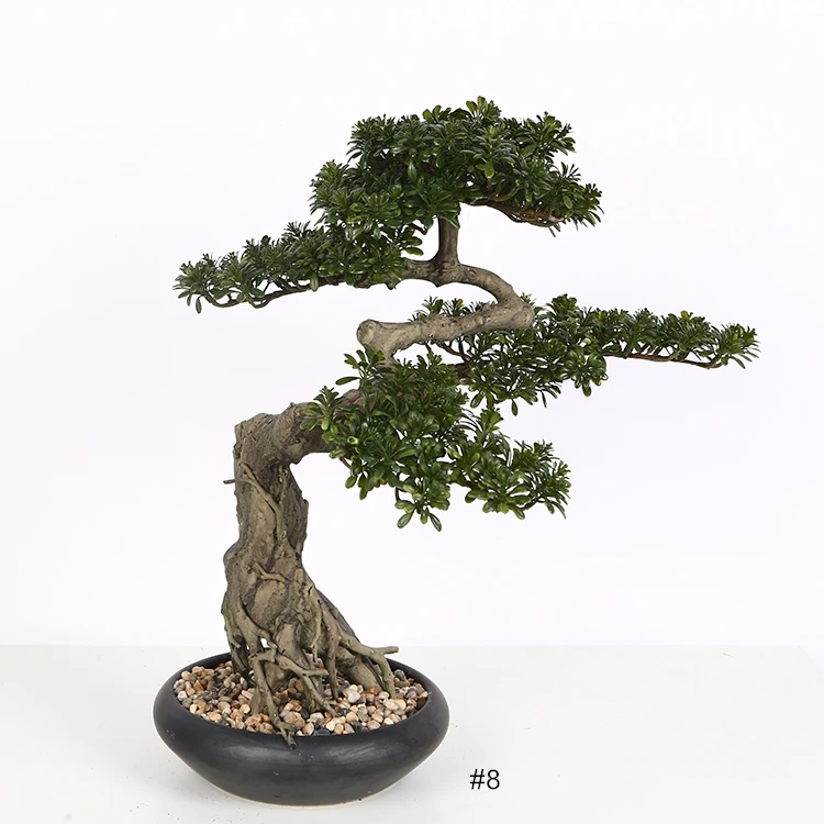 免费精品99久久国产综合精品