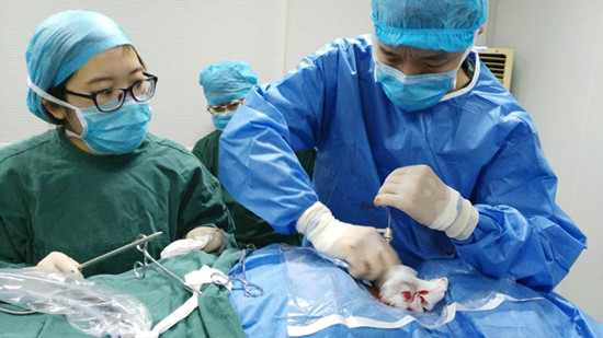 漆の黑视频 带有混合风格的漆の写法