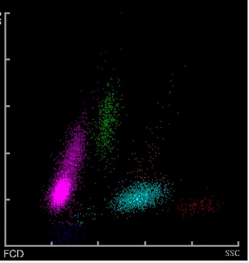 台漫3d 《时空之笼》：作者蚩尤