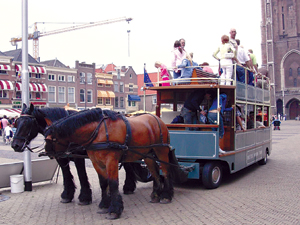 黑料网黑料不打烊