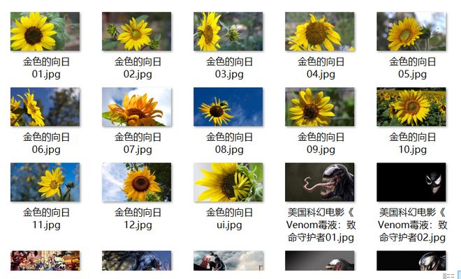吃瓜爆料 猎奇信息的吃瓜爆料需求痛点