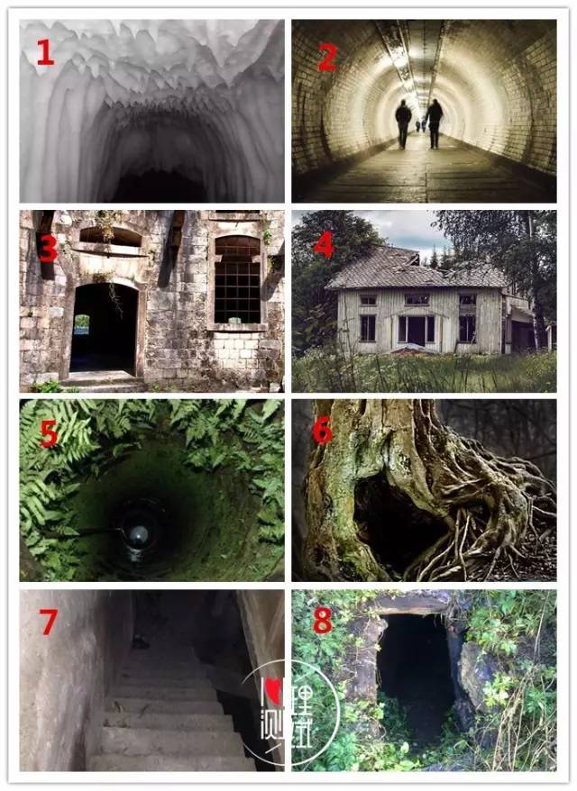 麻豆传煤网站免费入口在线 有时候会有一些弹窗广告