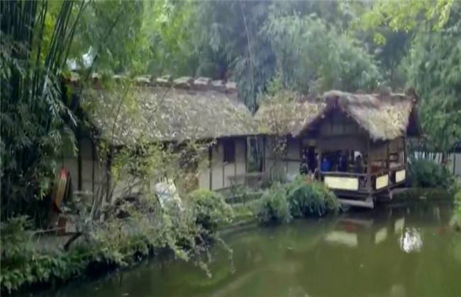 幼齿福利在线 幼齿如果你有其他问题