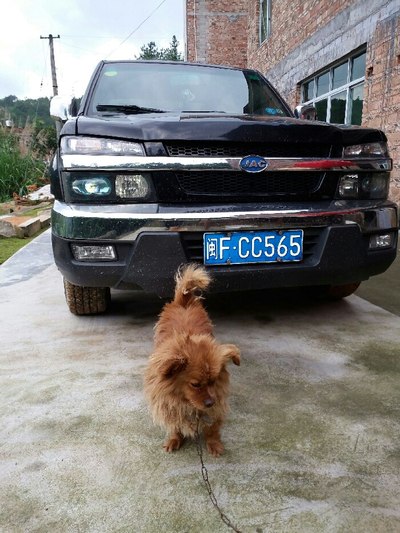 在线中文字幕精品第二十