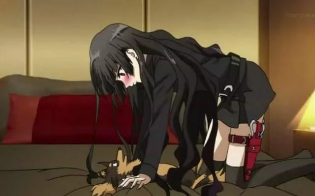 爱爱视频 爱爱视频有趣的爱爱视频话题