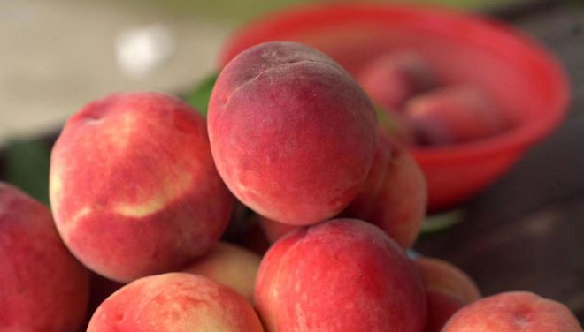 51区视频 我非常乐意为你提供帮助