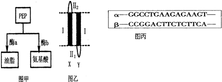 每日大赛今日入口 今日在主流机型上操作流畅