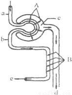 remukira 视频 你可以前往B站等视频平台