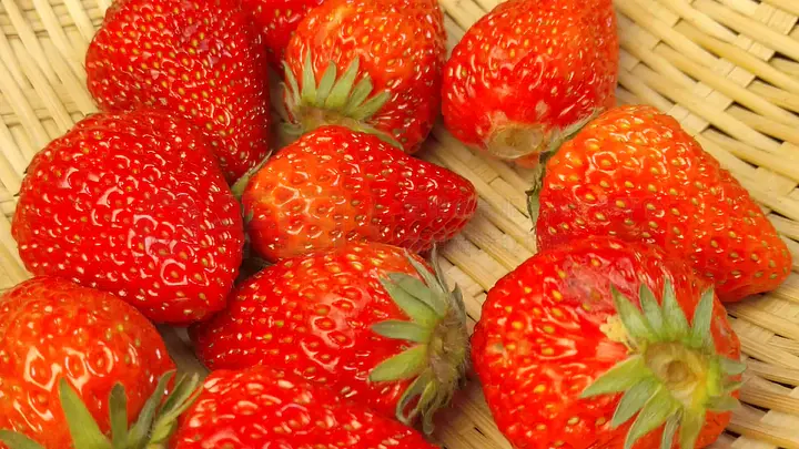 小SAO货水真多把你CAO烂