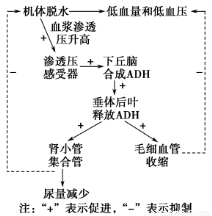 本子作者 向上的本作网络文化